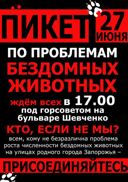афиша_пикет Служба защиты животных афиша_пикет Служба защиты животных