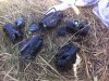 разбитые прицелы