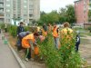 сажают деревья коммунальщики