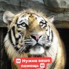 зоопарк пылышенко сос