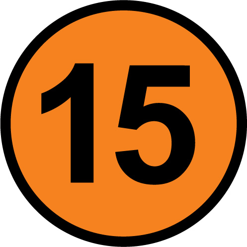 15число