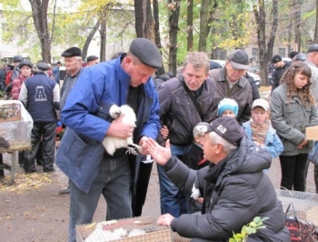 Мелитополь_ярмарка животных Мелитополь_ярмарка животных