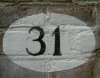 31
