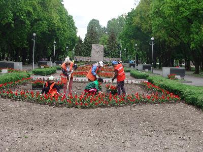 Аллея Боевой Славы в Запорожье, высадка цветов Аллея Боевой Славы в Запорожье, высадка цветов