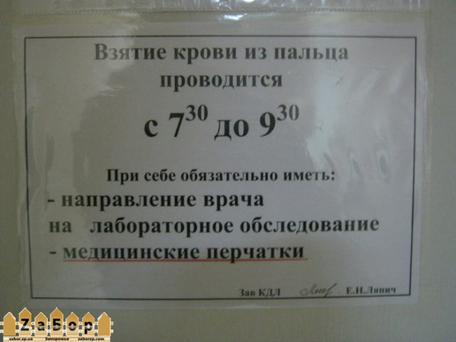 больница 9 в Запорожье (перчатки) больница 9 в Запорожье (перчатки)