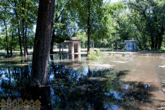 Дубовая роща. Затопление парка канализационными водами (Запорожье) Дубовая роща. Затопление парка канализационными водами (Запорожье)