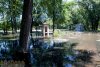 Дубовая роща. Затопление парка канализационными водами (Запорожье)
