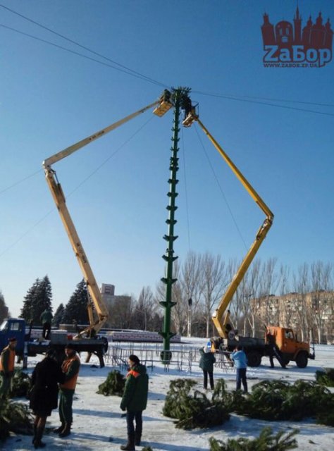 Елка - центральная городская (из живых елок). Монтируют на пл. Фестивальной в Запорожье Елка - центральная городская (из живых елок). Монтируют на пл. Фестивальной в Запорожье