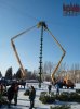 Елка - центральная городская (из живых елок). Монтируют на пл. Фестивальной в Запорожье