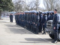 бойцы бойцы