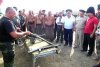 учения казаков