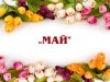 Май