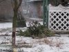 жгут елки