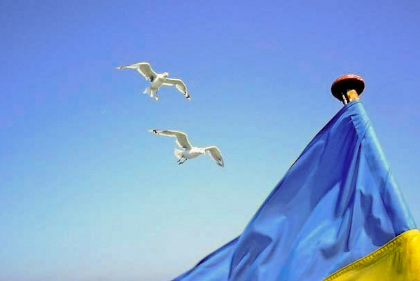 флаг украины и птицы в небе флаг украины и птицы в небе