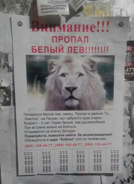 Лев - сбежал в Запорожье. Объявление на подъезде Лев - сбежал в Запорожье. Объявление на подъезде