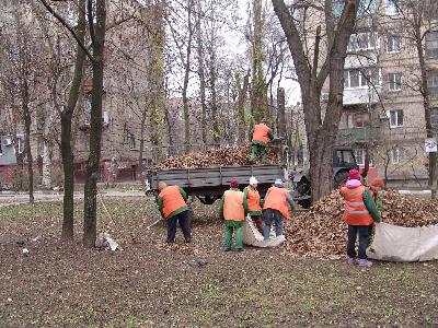 Листья осенние. Их убирают коммунальщики Листья осенние. Их убирают коммунальщики
