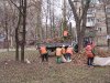 Листья осенние. Их убирают коммунальщики