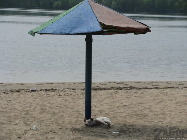 Пляж Ждановский. Безлюдный Пляж Ждановский. Безлюдный