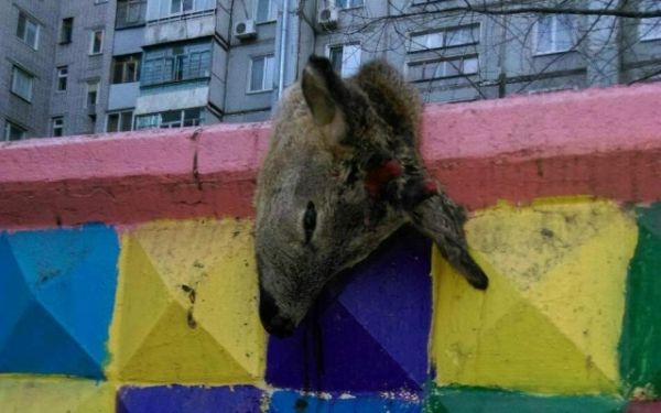 Олень убитый Олень убитый