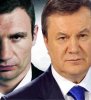 кличко и янукович