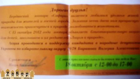 сафари_пиар Баранова сафари_пиар Баранова