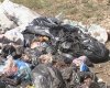 тела в лесу в пакетах 