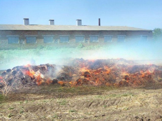 пожар_ферма пожар_ферма