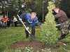 мужчины сажают дерево 
