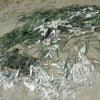 фото Анны Чуприны