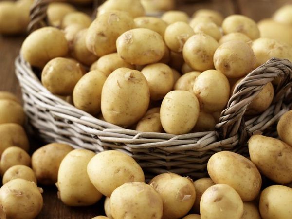 картофель картофель
