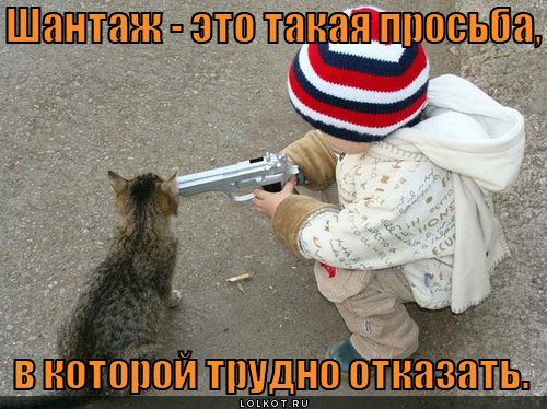 шантаж_картинка ребенок с пистолетом и кот шантаж_картинка ребенок с пистолетом и кот