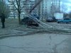 на машину упало дерево