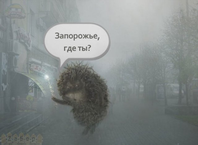 Туман. Ёжик ищет Запорожье Туман. Ёжик ищет Запорожье