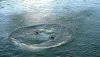 Прыжок в воду. Круги на воде